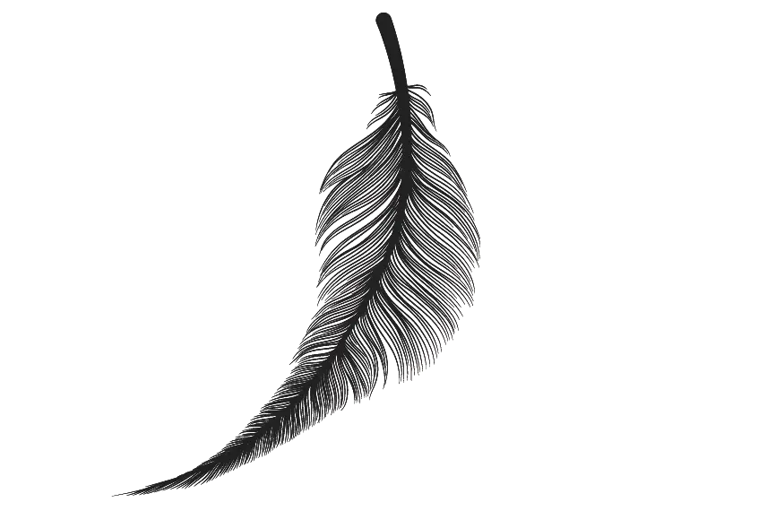 black feather